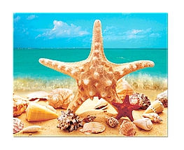 Картина на склі "Морська зірка на тлі моря"