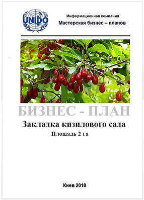 Бізнес - план (ТЕО). Ягоди кизилу. Кизиловий сад. Вирощування. Економіка, технологія обробітку