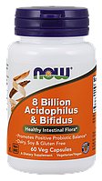 Now 8 Billion Acidophilus & Bifidus 60 veg caps