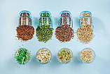 МУНГ МАШ Мікрозелень, насіння мунга (маша) органічного для вживання в їжу та для пророщування 450 грамів, фото 7