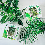 МУНГ МАШ Мікрозелень, насіння мунга (маша) органічного для вживання в їжу та для пророщування 450 грамів, фото 8