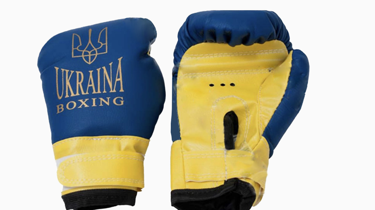 Перчатки для бокса детские Boxing Special 12 oz - от 16 лет. Кожа - фото 1 - id-p781414001