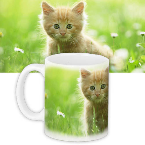 Чашка з принтом Котёнок 330 мл (KR_DET045)