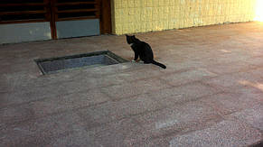 Гранитное крыльцо в школе, Киев. 6