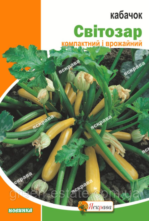 Кабачок Світозар 20 р.