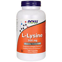 Л-Лизин / L-Lysine 500 мг 250 капсул Now Foods