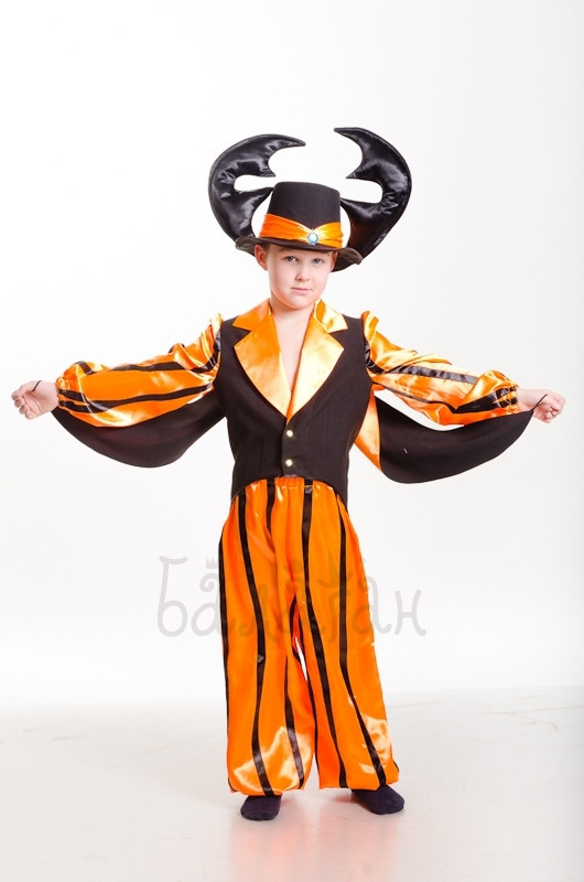 Костюм Жука-Весельчака — Купить Недорого на Bigl.ua (781791266)