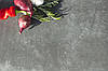 Терасна плита MBI GeoCeramica® Cathedrale, color Antra 60*60*4, 80*40*4, фото 6