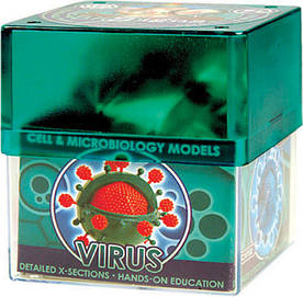 Наукова гра ВІРУС Professor EIN-O E2371VS