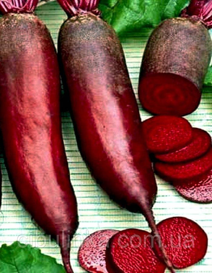 Буряк столовий Атаман 10 г, фото 1