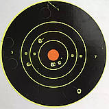 Мішень із видимим попаданням (обсипається) 20х20 см, фото 4