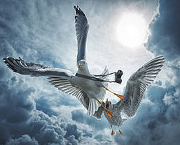 Картина на склі "Альбатрос і чайка"
