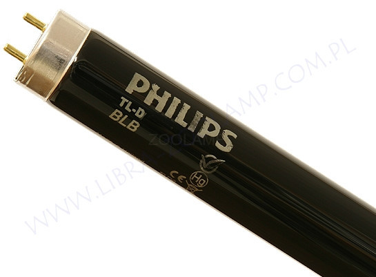 Лампа ультрафіолетова PHILIPS TL-D 18W/08 BLB G13 T8, 604 мм (Гландія)
