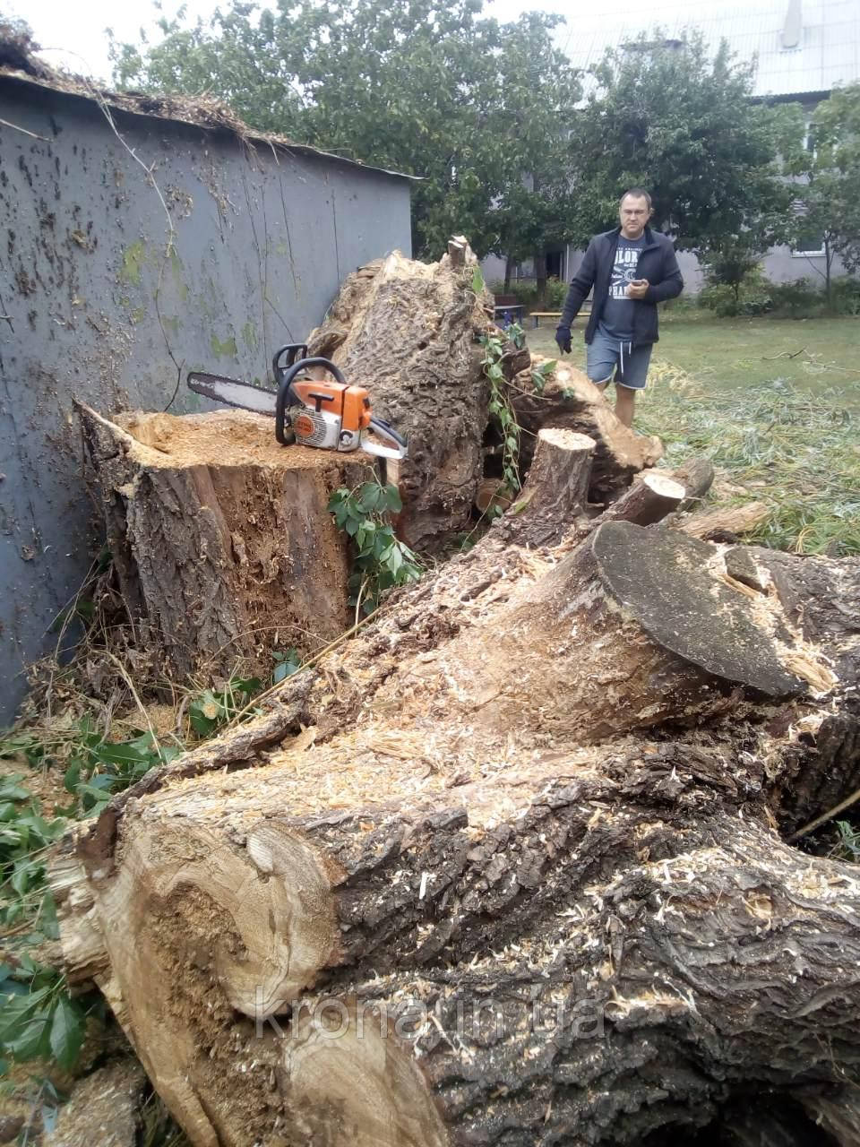 Видалити дерево. Розчистити територію від насаджень