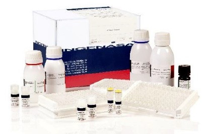 Ingezim IBR Compac.Тест-система для серодіагностики сантитіл (gB протеїн) до вірусу інфекційного рінотрахеїту - фото 1 - id-p751383448