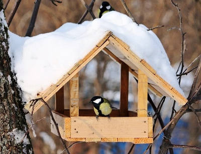 Вуличні годівниці для птахів