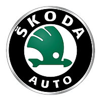 Хром на SKODA