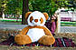 Плюшева панда 140 см коричневий\Білий, фото 2