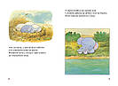 Манюній. Велика книжка про маленького слоника. Автор Ервін Мозер, фото 3