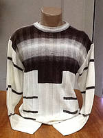 Чоловічі светри