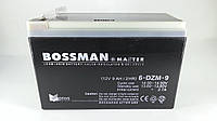 Тяговый аккумулятор Bossman 12V 9Ah 6DZM9