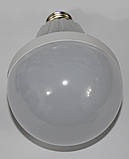 LED лампа з резервним живленням 12w, фото 4