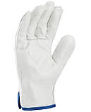 Рукавички робочі шкіряні INDY, фото 2