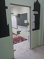 Стеклянные Двери Lion в Британской школе город Днепр