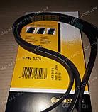 Ремінь генератора Лачетті Contitech, фото 4