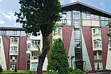 Плитка клинерна King Klinker Dream House колір 04 Wild wine розмір 250x65x10 мм., фото 3
