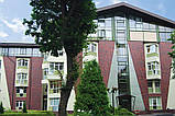 Кутовий елемент плитка клинерна King Klinker Dream House колір 04 Wild wine розмір 250/120x65x10 мм., фото 3