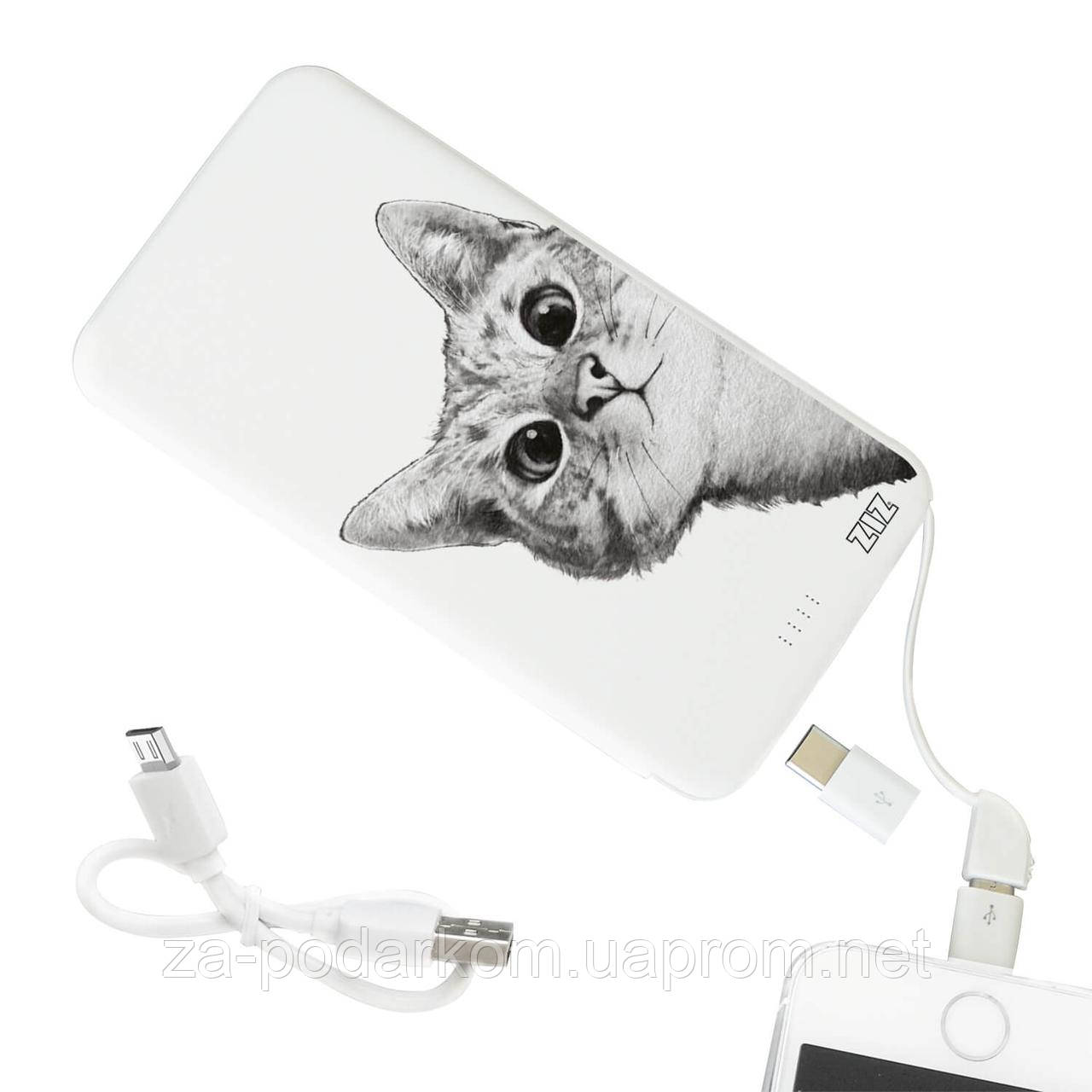 Power bank (павербанк, пауербанк) Гей, кіт! 10000mah