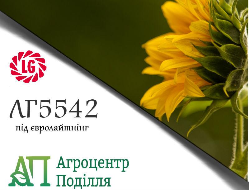 Семена подсолнечника под евролайтинг ЛГ 5542 (устойчив к заразихе A-G) ЛИМАГРЕЙН