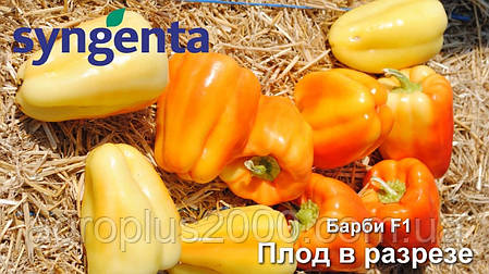 Насіння Перець солодкий Барбі F1, 50 насіння Syngenta, фото 3