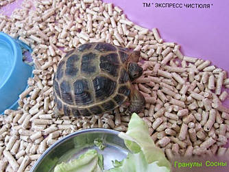 Деревне гранульований наповнювач для сухопутних черепах. ТМ " ЕКСПРЕС ЧИСТЮЛЯ "