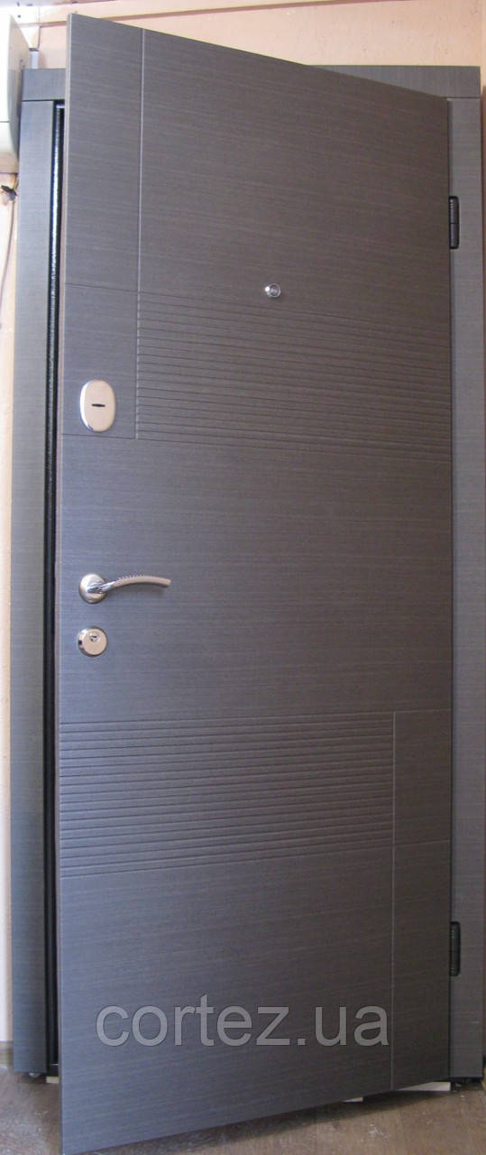 Двери входные стандарт 117 полотно 68 мм - фото 7 - id-p661998203