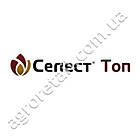 Протруйник Селест топ 312.5 FS т. к. с 100 мл Syngenta, фото 3