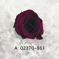 Стабілізовані троянди "Вівіан", 24 бут., А:861