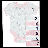 Гарні боді з коротким рукавом George 18-24 міс! Поштучно!, фото 7