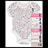 Гарні боді з коротким рукавом George, 18-24 міс! Поштучно!, фото 5