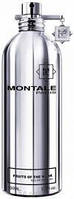 Montale Fruits Of The Musk парфумована вода 100 ml. (Монталь Фрутс Оф Зе Муск)