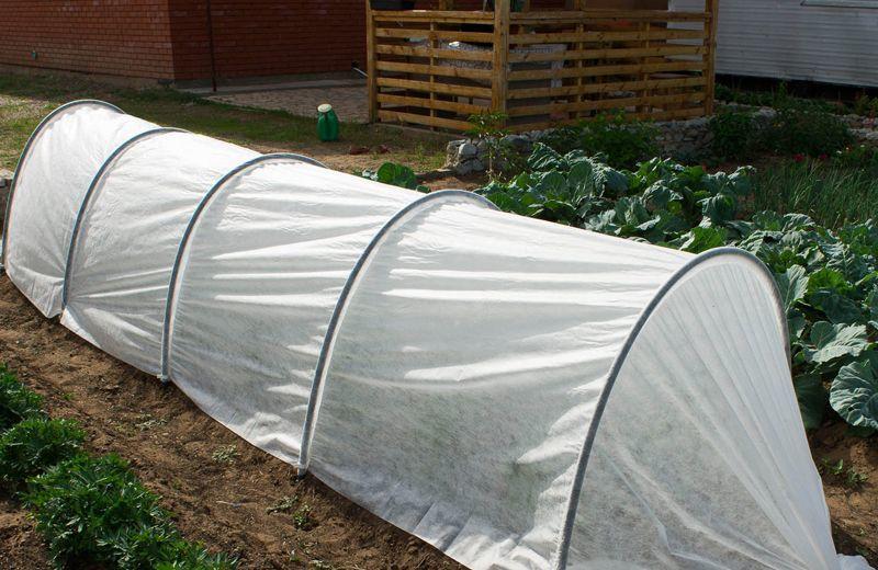 Купить Парник "Подснежник" 6 м 50г/м² мини теплица Украина в Харькове ...
