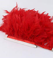 Перова тасьма з пір'я індичка. Колір Червоний. Перо 10-17 см. Ціна за 0,5 м.