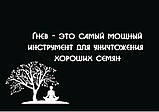 Метафорічні карти "Семена". Тараріна Олена, фото 7