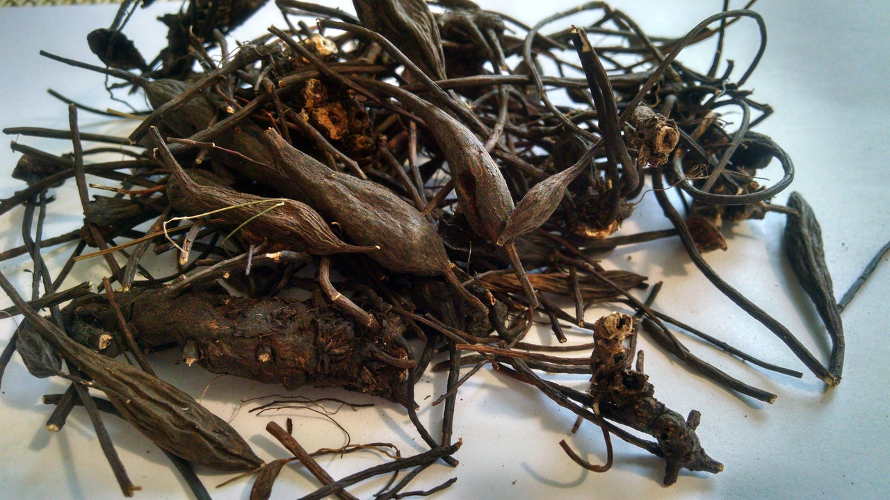 Таволга в'язолісна корінь 100 грамів (root Filipendula ultamaria)