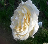 Світильник квітка троянда бра люстра на жорсткому кріпленні, фото 4
