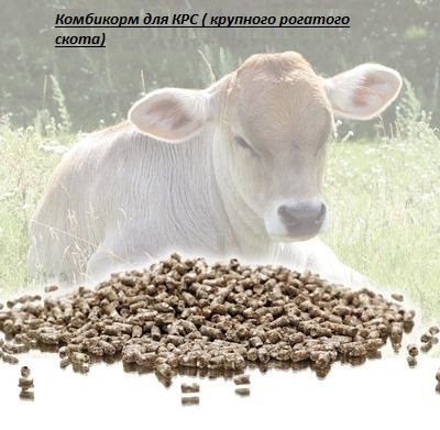 Комбікорм для дойних корів