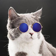 Очки для кошки солнцезащитные