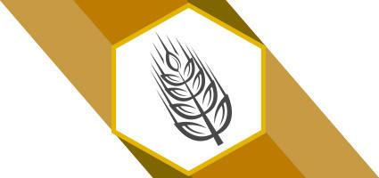 Насіння зернових