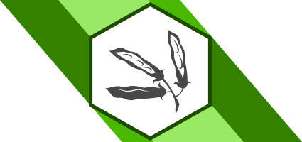 Насіння бобових